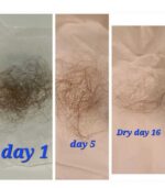 Have Hair Regrowing Spray - Image 4